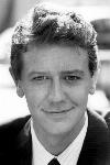 Judge Reinhold