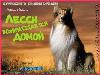 Lassie Torna a casa - Eric Knight