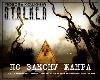 Koshkina Love - وفقًا لقانون هذا النوع (S.T.A.L.K.E.R.)